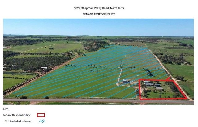 1824 Chapman Valley Road, WA 6532