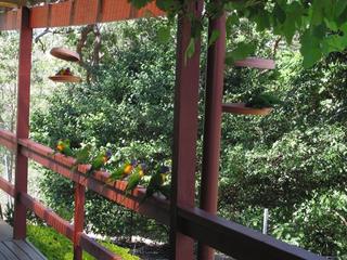 Visitors on front deck