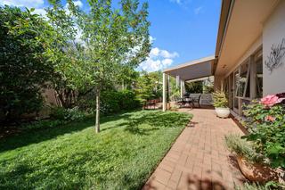 Backyard (2019-11-07)