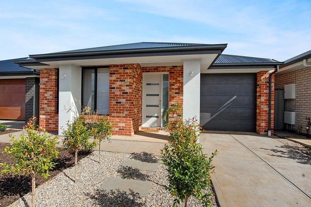 12 Francis Street, SA 5120
