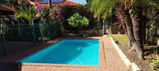 3 Brahea Place, WA 6010