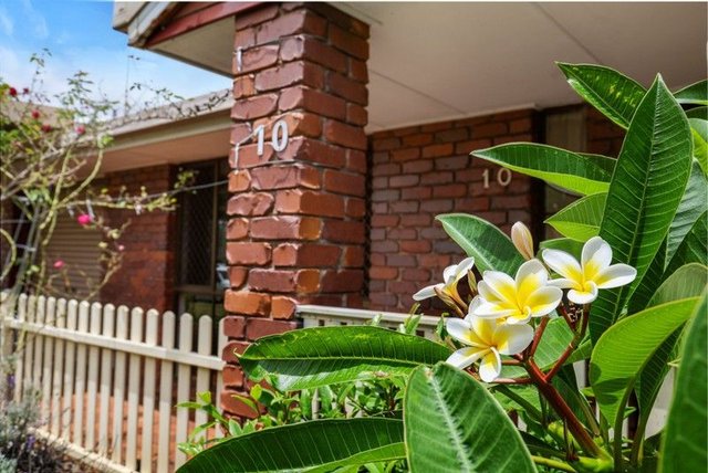 10 Wuth Street, QLD 4350