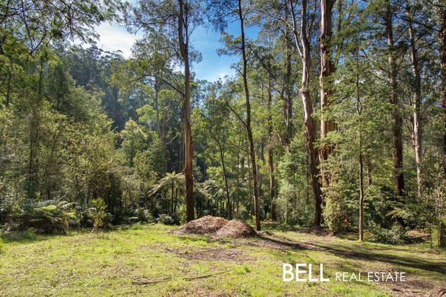 72 Sassafras Creek Road, VIC 3789