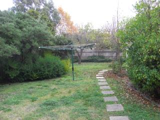 Backyard (2010-06-11)