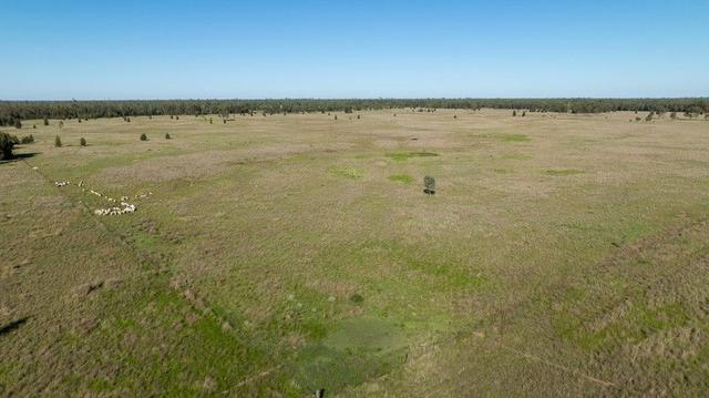 2102 Wyaga Road, QLD 4390