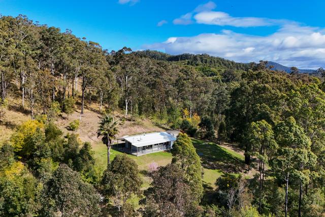 1055 Pappinbarra Road, NSW 2446