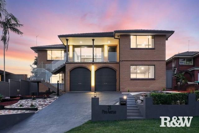 25 Pine Avenue, NSW 2560