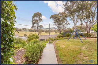 Backyard (2013-11-12)