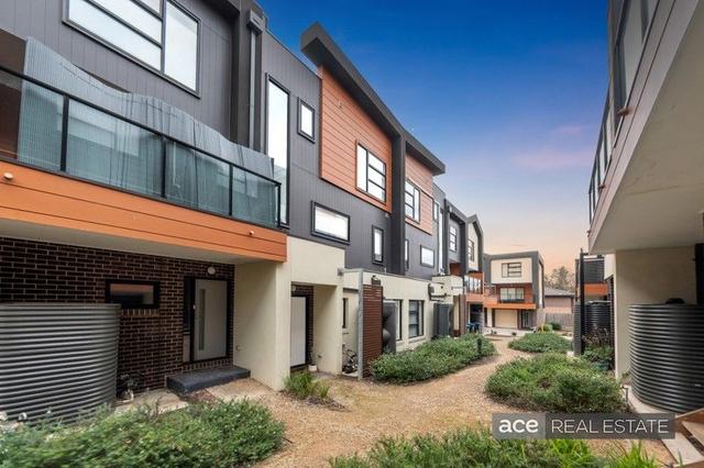 53/321 Wantirna Rd, VIC 3152