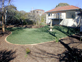 Rear yard