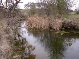 Creek (2004-10-01)