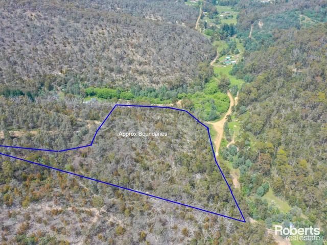 869 Back River Road, TAS 7140