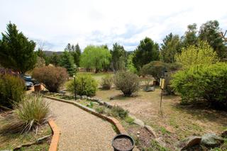 Frontyard (2019-10-15)