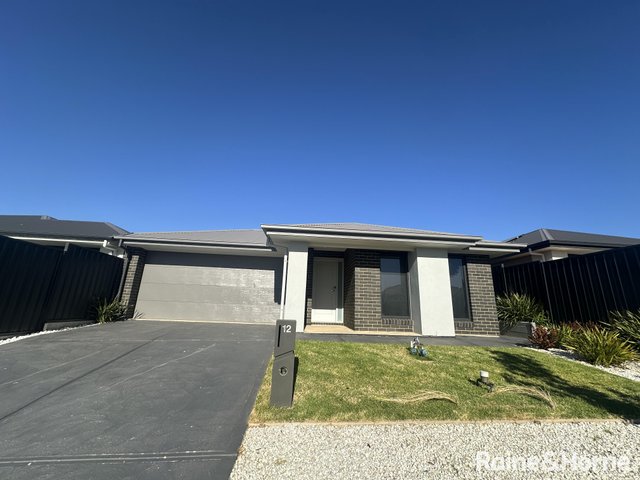 12 Terry Street, SA 5114