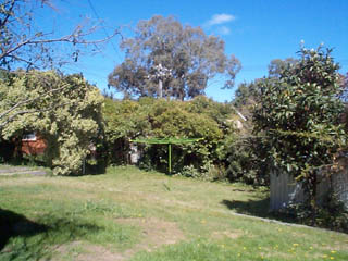 Rear yard
