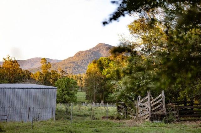 77 Henrys Lane, NSW 2443