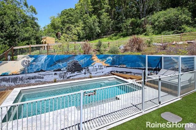 42 Coach View Place, QLD 4561