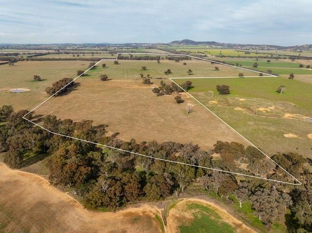 29 Jaegers Lane, NSW 2655