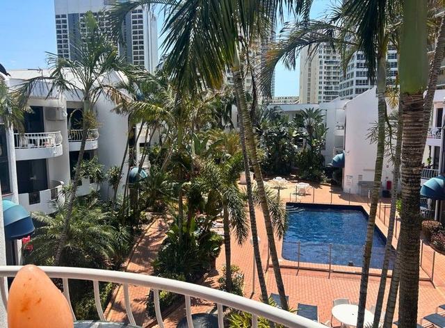 244/31 Orchid  Avenue, QLD 4217