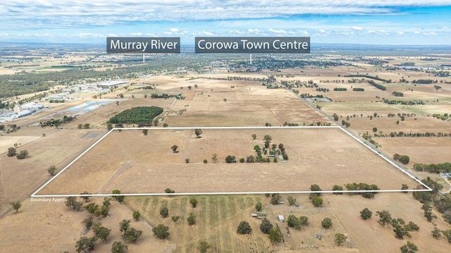 366 Whitehead Street, NSW 2646