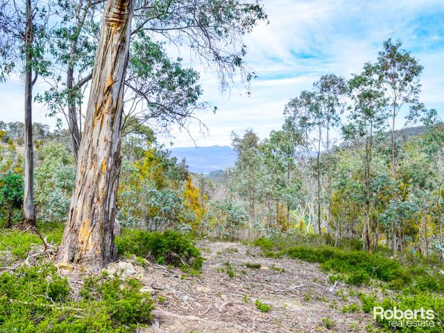 869 Back River Road, TAS 7140