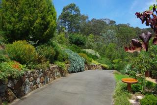 Driveway & Gardens