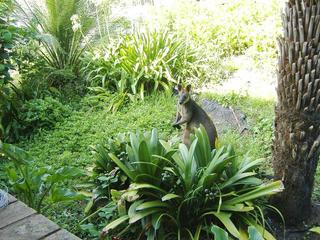 Standard Photo (2014-07-23)