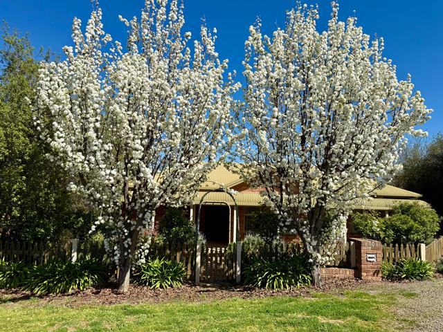 110 Blackett Avenue, NSW 2594