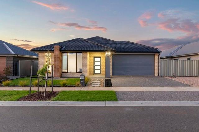 13 Kathleen Crescent, SA 5120