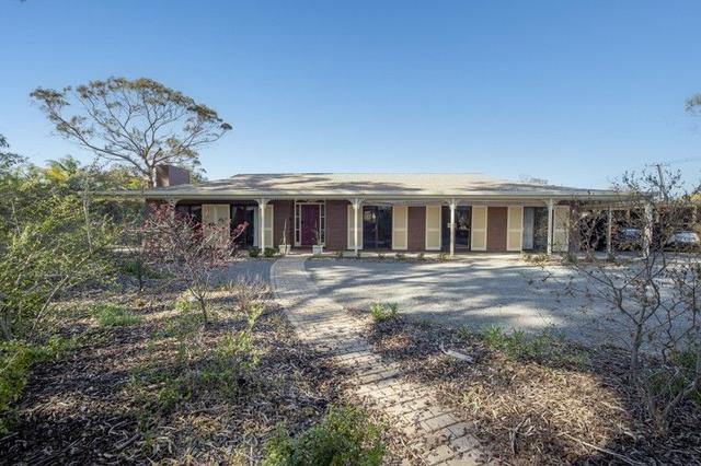 33 Collingwood Street, SA 5540