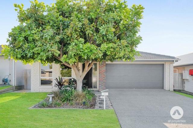 14 Sepia Street, QLD 4207