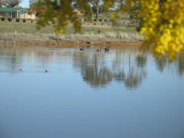 Community dam