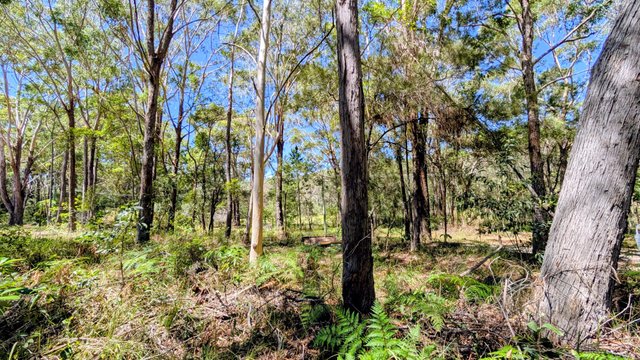 2 Canopy Cres, QLD 4184