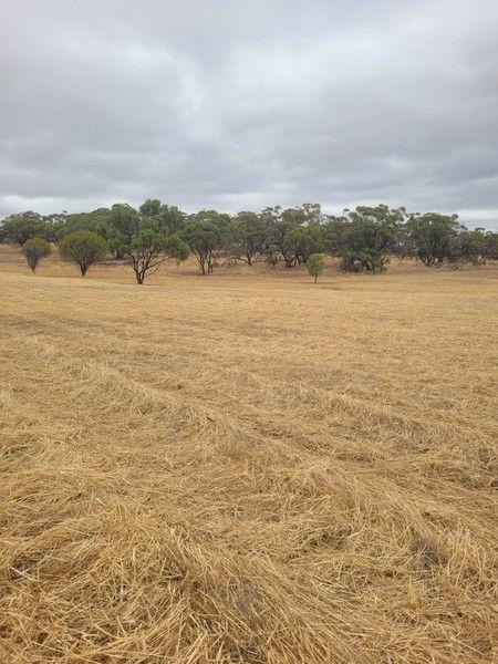 Lot 130/null Charlton Boulevard, Coondle, WA 6566