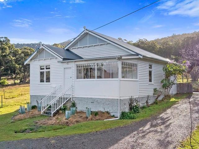 162 Cygnet Coast Road, TAS 7109