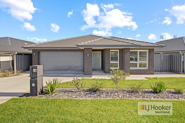 44 Camelia Street, NSW 2321