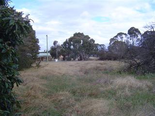 view from rear lane