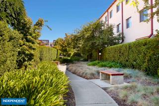 Courtyard gardens