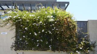 Standard Photo (2019-11-14)
