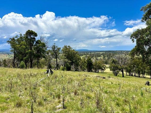 Lot 338 Swilks Road, NSW 2358