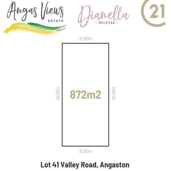 Lot 41 Valley Road, SA 5353