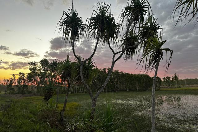 (no street name provided), NT 0841