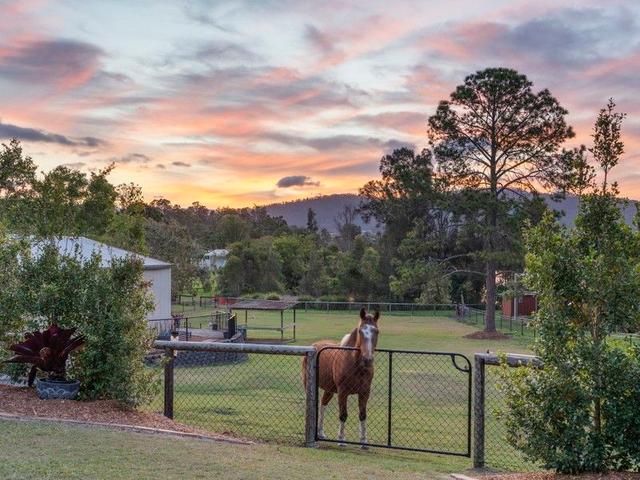 33 Ruth Terrace, QLD 4210
