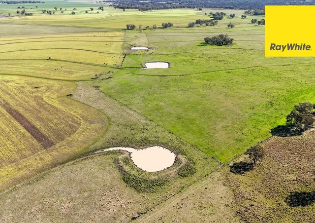 231 Middletons Lane, NSW 2360