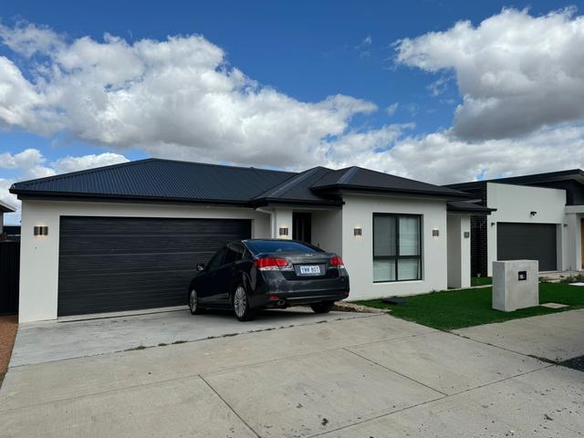 11 Barramundi Street, ACT 2914