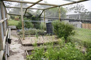 Garden (2012-08-15)