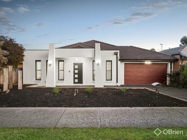 17 Lotus Drive, VIC 3977