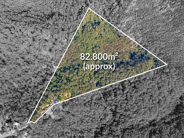 145 Nancol Drive, QLD 4228
