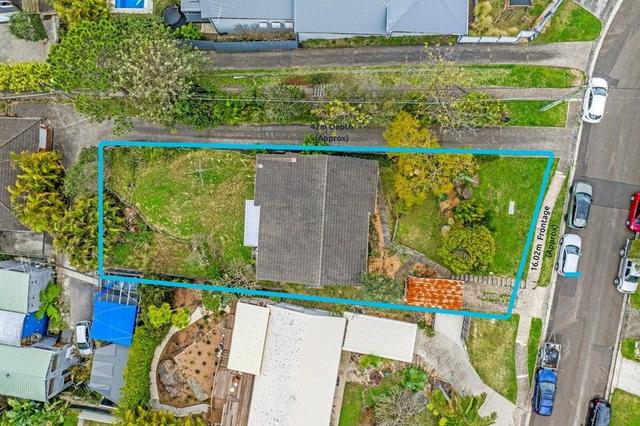 20 Tango Avenue, NSW 2099