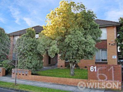 7/61 Holywood Grove, VIC 3163